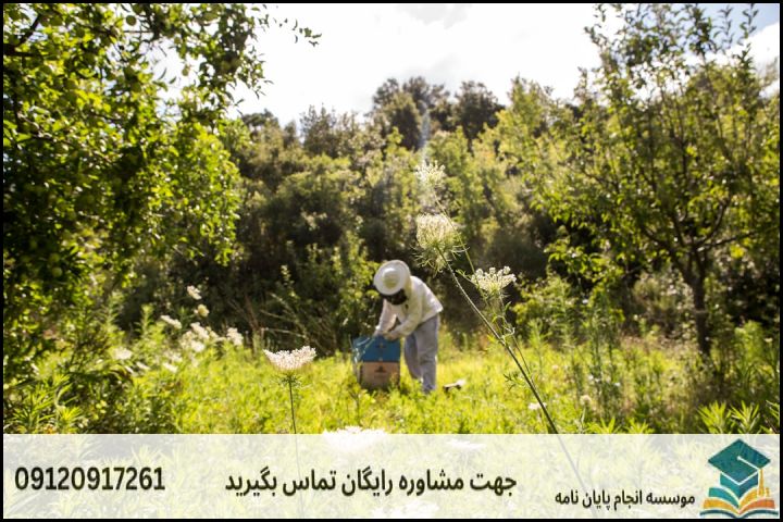انجام پروپوزال رشته جغرافیا مدیریت توسعه پایدار روستایی — تصویر 3