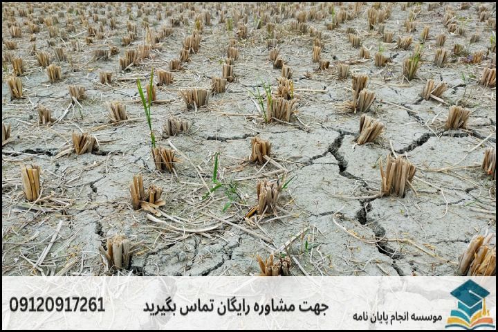 ۴. نقشه راه ۵ گام برای تبدیل ایده به عنوان تصویبشده